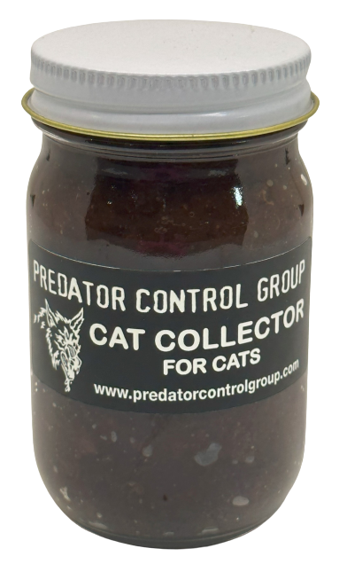 Predator Control Box Cat Collector – Predator Control Group