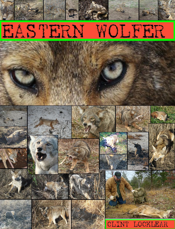 Eastern Wolfer, Coyote Trapping Book