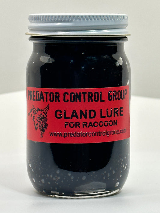 Raccoon Gland Lure