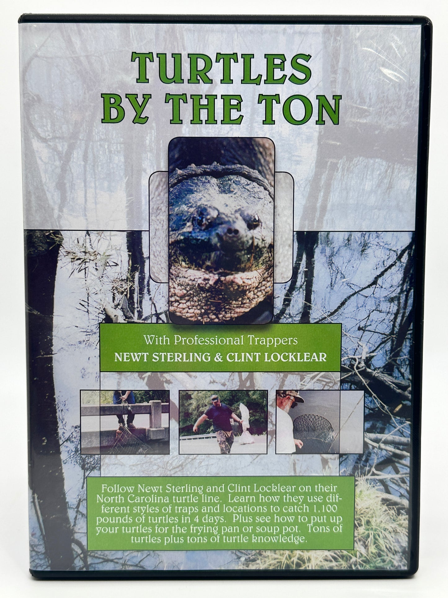 Turtles by the Ton DVD